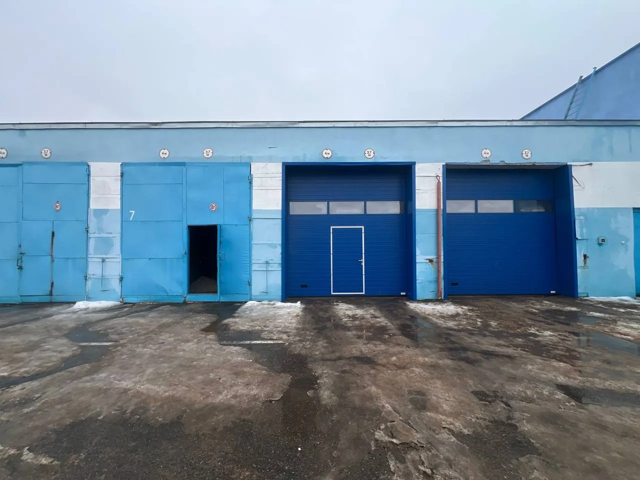 Галерея: изображение 5